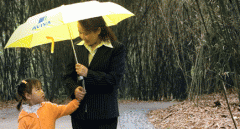 ���빫˾������ɻ��������ķ���