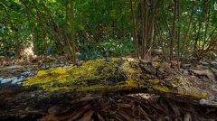 ���趯��԰չ������������������������������720���Ա�